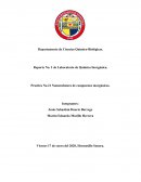 Practica No.21 Nomenclatura de compuestos inorgánicos