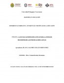 LAS EVALUACIONES EDUCATIVAS PARA LA TOMA DE DECISIONES DE LAS POLÍTICAS EDUCATIVAS