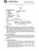 SÍLABO PROMOCIÓN DE LA SALUD