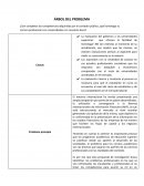 ¿Son completas las competencias adquiridas por el contador público, qué homologo su carrera profesional con universidades con convenio Sena?