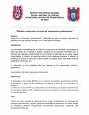 Difusión molecular a través de membranas poliméricas