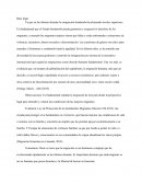 Base legal emigración