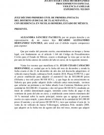 PROCEDIMIENTO ESPECIAL VIOLENCIA FAMILIAR. Página 1