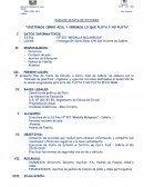 PLAN VISITA DE ESTUDIO INICIAL