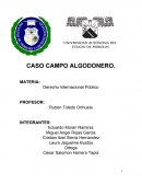 Feminicidios campo algodonero