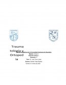 Historia clínica de TyO