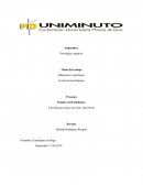 Educacion y psicologia - Teoria de Jerome Bunner