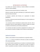 METABOLISMO DE LAS PROTEINAS