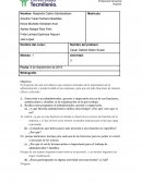 Actividad 3 Entrevista a un administrador