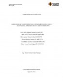 Informe de laboratorio de pavimentos