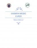 CODIGO PROGRAMA EN C ARREGLO TRIDIMENSIONAL PRO