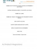 Actividad integradora . Situación de cuidado a una mujer en puerperio mediato