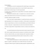 Energia Hidraulica y Teoria de Bergeron y Findeisen
