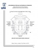 El manejo del estres en los servicios de emergencias
