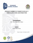 Importancia de los insectos