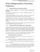 Derecho Sindical-Negociación Colectiva