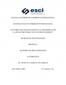 Factores que influyen en el desarrollo de la industria en el Centro de México