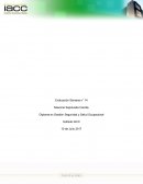 Diplomado seguridad y salud ocupcional