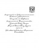 Proyectos de Software. Ingeniería de Requerimientos