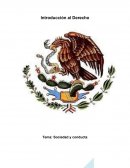 Sociedad y conducta Organización educativa Tabscoob A. C.