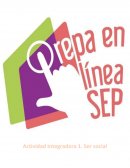 Actividad Integradora 1. Ser social