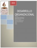 Desarrollo organizacional, la gran importancia en las empresas