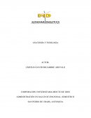 ANATOMIA Y FISIOLOGIA. Informe primeros auxilios