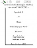 Análisis del proyecto PetBot