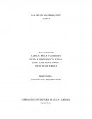 ANALISIS DE CASO PRIMER CORTE “LA META”