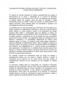 RESUMEN DE SISTEMAS, SISTEMA CONTABLE, CONTROL, CONTABILIDAD, Y RESULTADOS FINANCIEROS