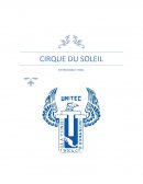 Getion de negocios tarea Cirque du Soleil