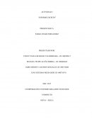 Actividad “Informe escrito” Femsa Coca-Cola