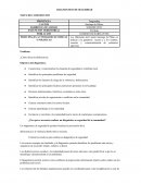 RESUMEN DEL DIAGNOSTICO DE SEGURIDAD