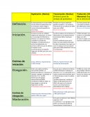 Cuadro de replicación, transcripción, traducción