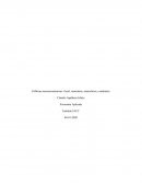 Políticas macroeconómicas: fiscal, monetaria, arancelaria y cambiaria