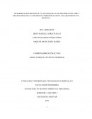 DETERMINACIÓN DEL FLUJO DINÁMICO DEL AIRE Y USO RACIONAL DE LA EFICIENCIA ENERGÉTICA SANTA ANA