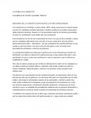 RESUMEN DE LA CONSTITUCION POLITICA EN MI COTIDIANIDAD