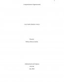 PLAN DE COMUNICACIÓN FOTOCLIK