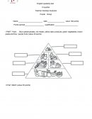 Como hacer examenes de adecuación