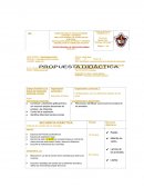 Identificación y reconocimiento de los sonidos de los animales