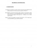 DESARROLLO CASO MINERA REAL