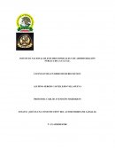 ENSAYO: ¿QUÉ ES UNA CONSTITUCIÓN? DEL AUTOR FERDINAND LASSALLE