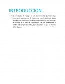 Proyecto burbujas de fuego