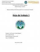 Métodos Estadísticos Para Monitorización de La Contaminación Ambiental