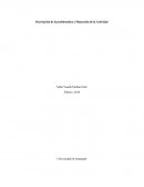 Especialización en Aplicación de TIC para la Enseñanza