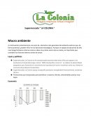 Macro ambiente de la colonia