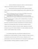 Aplicación del Método de Jerarquización Analítica en el análisis del peligro de caída de rocas en la minería a cielo abierto