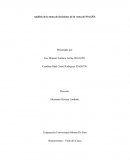 Análisis de la toma de decisiones de la venta de ISAGEN