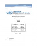 Impacto de internet en los procesos de negocios