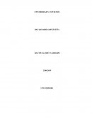 Universidad y contexto